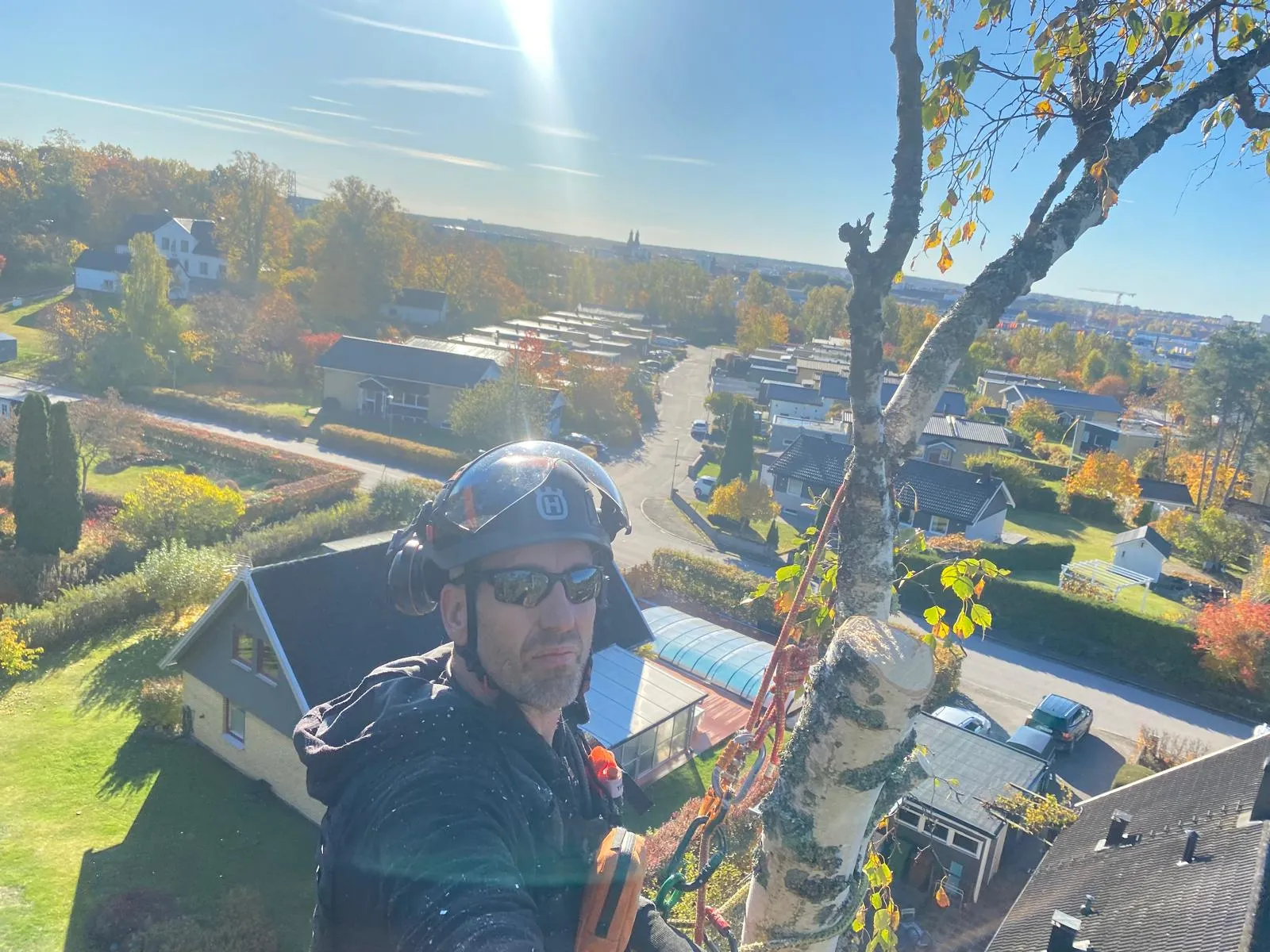 Henrik - Arborist hos Skogstorp Träd & Gård