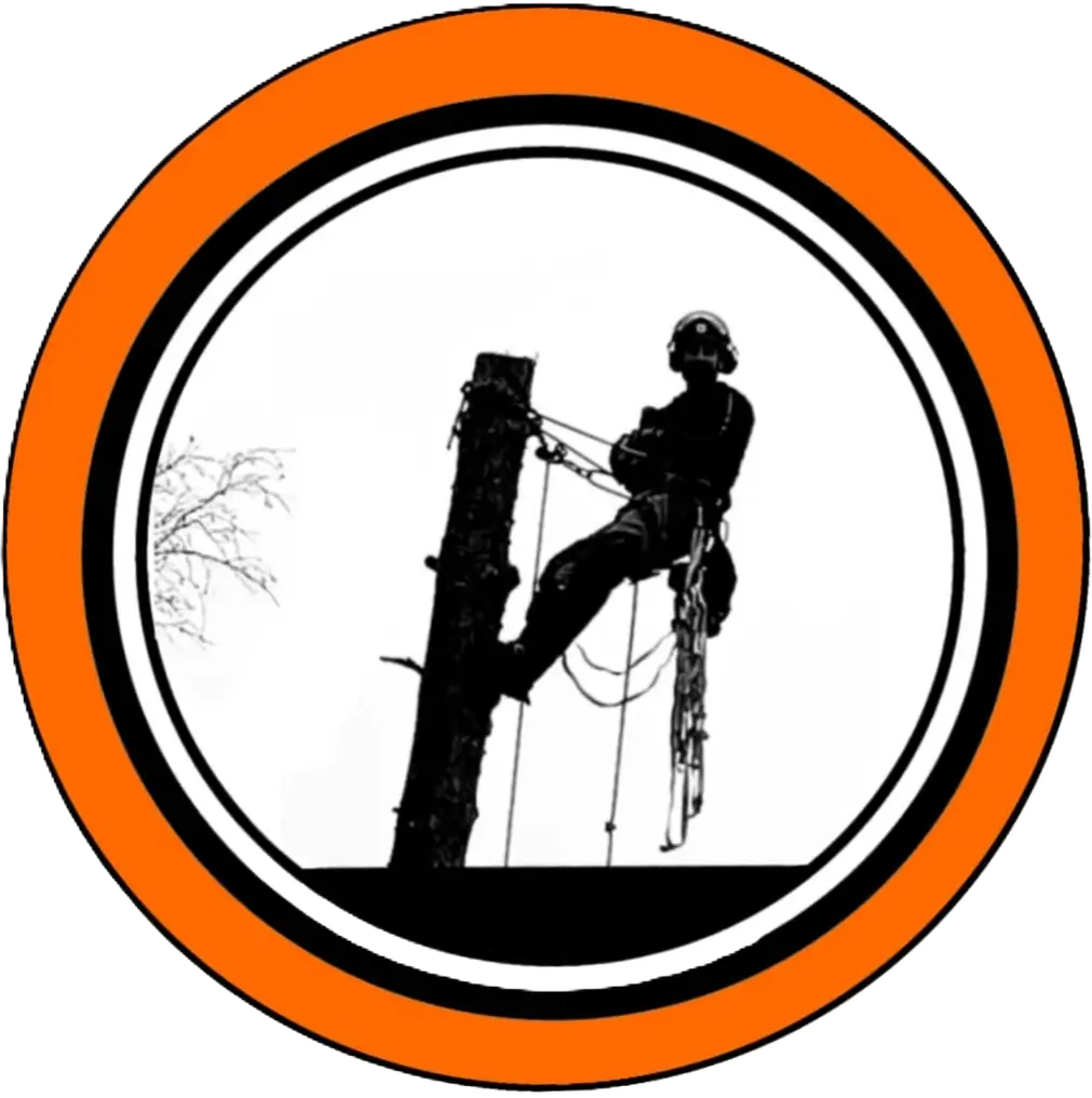 Henrik - Skogstorp Träd & Gård