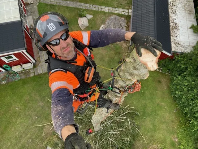 Trädfällning Eskilstuna